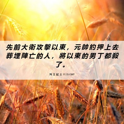 Picture 06 - 列 王 紀 上 11:15 CUVT - 先 前 大 衛 攻 擊 以 東 ， 元 帥 約 - Bible Verse Picture
