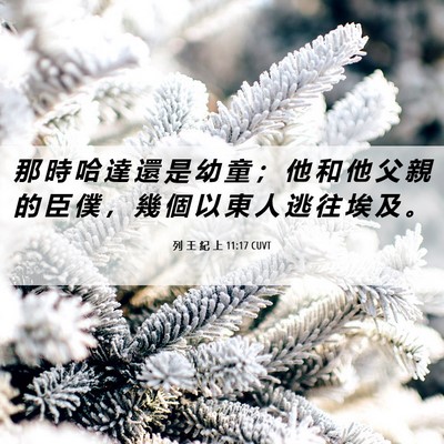 Picture 06 - 列 王 紀 上 11:17 CUVT - 那 時 哈 達 還 是 幼 童 ； 他 和 他 - Bible Verse Picture