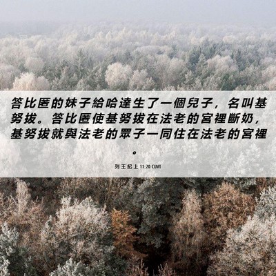 Picture 06 - 列 王 紀 上 11:20 CUVT - 答 比 匿 的 妹 子 給 哈 達 生 了 一 - Bible Verse Picture