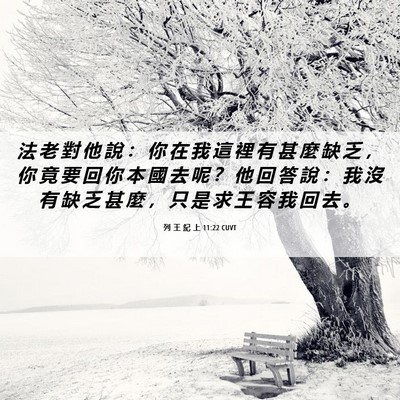 Picture 06 - 列 王 紀 上 11:22 CUVT - 法 老 對 他 說 ： 你 在 我 這 裡 有 - Bible Verse Picture