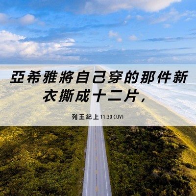 Picture 06 - 列 王 紀 上 11:30 CUVT - 亞 希 雅 將 自 己 穿 的 那 件 新 衣 - Bible Verse Picture