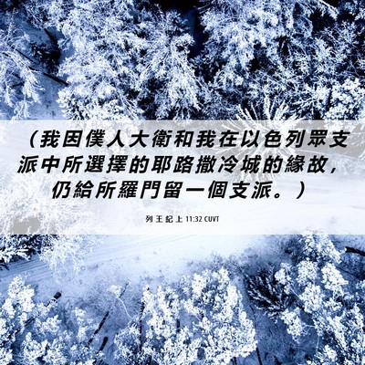 Picture 06 - 列 王 紀 上 11:32 CUVT - （ 我 因 僕 人 大 衛 和 我 在 以 色 - Bible Verse Picture
