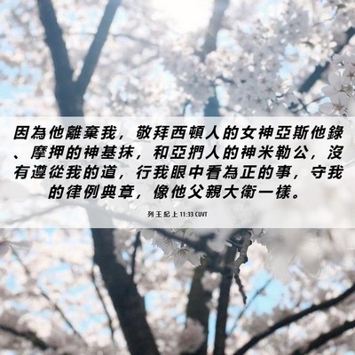 Picture 06 - 列 王 紀 上 11:33 CUVT - 因 為 他 離 棄 我 ， 敬 拜 西 頓 人 - Bible Verse Picture