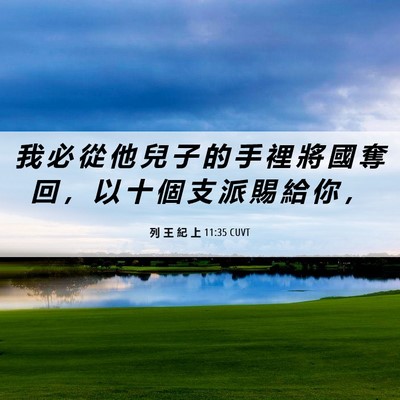 Picture 06 - 列 王 紀 上 11:35 CUVT - 我 必 從 他 兒 子 的 手 裡 將 國 奪 - Bible Verse Picture