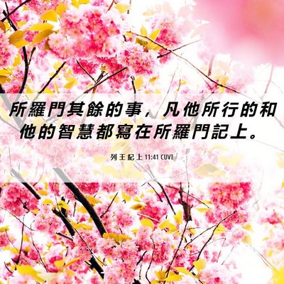 Picture 06 - 列 王 紀 上 11:41 CUVT - 所 羅 門 其 餘 的 事 ， 凡 他 所 行 - Bible Verse Picture