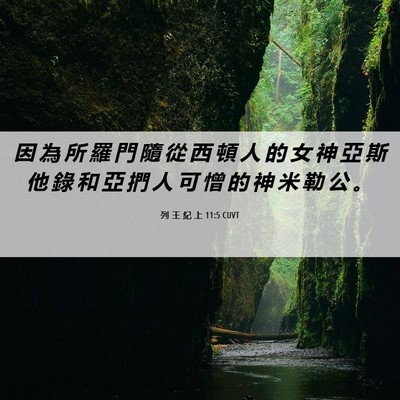 Picture 06 - 列 王 紀 上 11:5 CUVT - 因 為 所 羅 門 隨 從 西 頓 人 的 女 - Bible Verse Picture