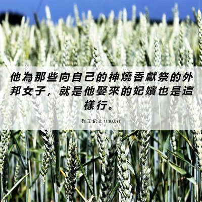 Picture 06 - 列 王 紀 上 11:8 CUVT - 他 為 那 些 向 自 己 的 神 燒 香 獻 - Bible Verse Picture
