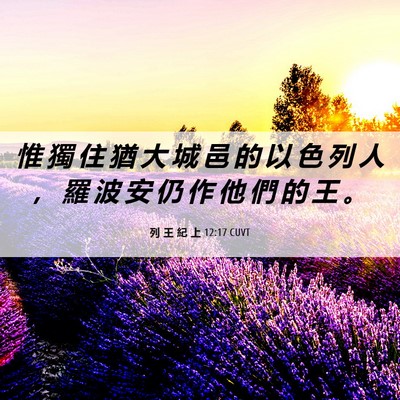 Picture 06 - 列 王 紀 上 12:17 CUVT - 惟 獨 住 猶 大 城 邑 的 以 色 列 人 - Bible Verse Picture