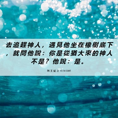 Picture 06 - 列 王 紀 上 13:14 CUVT - 去 追 趕 神 人 ， 遇 見 他 坐 在 橡 - Bible Verse Picture