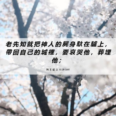 Picture 06 - 列 王 紀 上 13:29 CUVT - 老 先 知 就 把 神 人 的 屍 身 馱 在 - Bible Verse Picture