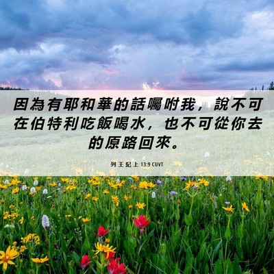 Picture 06 - 列 王 紀 上 13:9 CUVT - 因 為 有 耶 和 華 的 話 囑 咐 我 ， - Bible Verse Picture