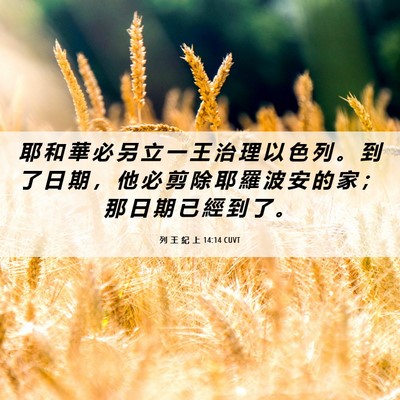Picture 06 - 列 王 紀 上 14:14 CUVT - 耶 和 華 必 另 立 一 王 治 理 以 色 - Bible Verse Picture