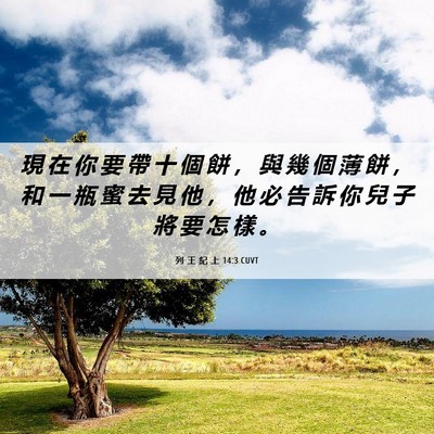 Picture 06 - 列 王 紀 上 14:3 CUVT - 現 在 你 要 帶 十 個 餅 ， 與 幾 個 - Bible Verse Picture