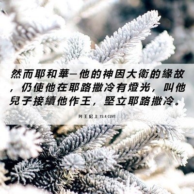 Picture 06 - 列 王 紀 上 15:4 CUVT - 然 而 耶 和 華 ─ 他 的 神 因 大 衛 - Bible Verse Picture