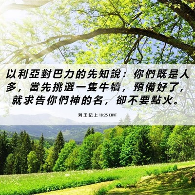 Picture 06 - 列 王 紀 上 18:25 CUVT - 以 利 亞 對 巴 力 的 先 知 說 ： 你 - Bible Verse Picture