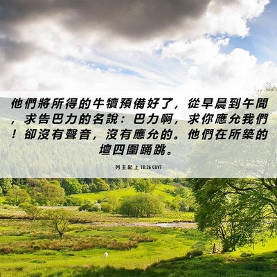 Picture 06 - 列 王 紀 上 18:26 CUVT - 他 們 將 所 得 的 牛 犢 預 備 好 了 - Bible Verse Picture