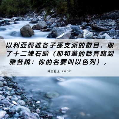 Picture 06 - 列 王 紀 上 18:31 CUVT - 以 利 亞 照 雅 各 子 孫 支 派 的 數 - Bible Verse Picture