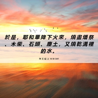 Picture 06 - 列 王 紀 上 18:38 CUVT - 於 是 ， 耶 和 華 降 下 火 來 ， 燒 - Bible Verse Picture