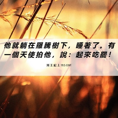 Picture 06 - 列 王 紀 上 19:5 CUVT - 他 就 躺 在 羅 騰 樹 下 ， 睡 著 了 - Bible Verse Picture