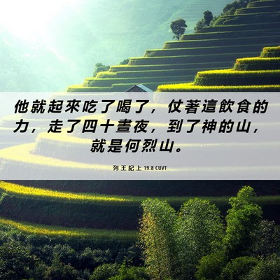 Picture 06 - 列 王 紀 上 19:8 CUVT - 他 就 起 來 吃 了 喝 了 ， 仗 著 這 - Bible Verse Picture