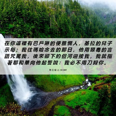 Picture 06 - 列 王 紀 上 2:8 CUVT - 在 你 這 裡 有 巴 戶 琳 的 便 雅 憫 - Bible Verse Picture