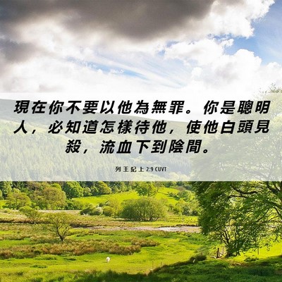 Picture 06 - 列 王 紀 上 2:9 CUVT - 現 在 你 不 要 以 他 為 無 罪 。 你 - Bible Verse Picture