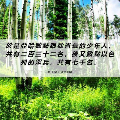 Picture 06 - 列 王 紀 上 20:15 CUVT - 於 是 亞 哈 數 點 跟 從 省 長 的 少 - Bible Verse Picture