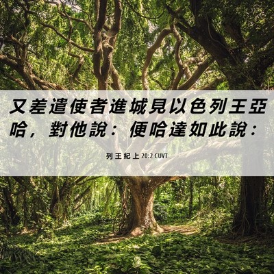 Picture 06 - 列 王 紀 上 20:2 CUVT - 又 差 遣 使 者 進 城 見 以 色 列 王 - Bible Verse Picture