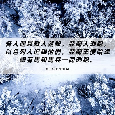 Picture 06 - 列 王 紀 上 20:20 CUVT - 各 人 遇 見 敵 人 就 殺 。 亞 蘭 人 - Bible Verse Picture