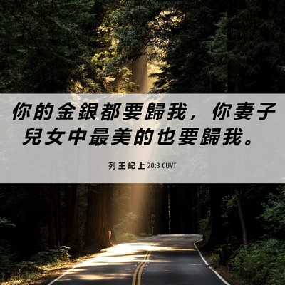 Picture 06 - 列 王 紀 上 20:3 CUVT - 你 的 金 銀 都 要 歸 我 ， 你 妻 子 - Bible Verse Picture