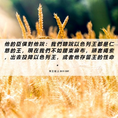 Picture 06 - 列 王 紀 上 20:31 CUVT - 他 的 臣 僕 對 他 說 ： 我 們 聽 說 - Bible Verse Picture