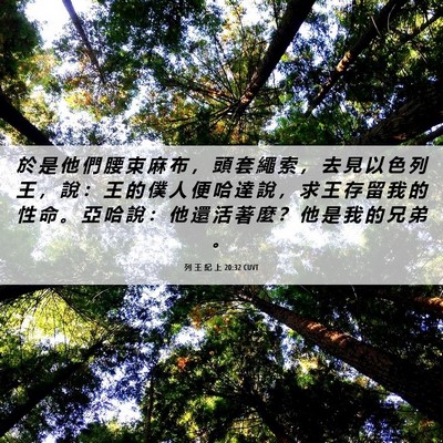 Picture 06 - 列 王 紀 上 20:32 CUVT - 於 是 他 們 腰 束 麻 布 ， 頭 套 繩 - Bible Verse Picture