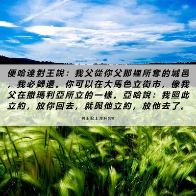 Picture 06 - 列 王 紀 上 20:34 CUVT - 便 哈 達 對 王 說 ： 我 父 從 你 父 - Bible Verse Picture