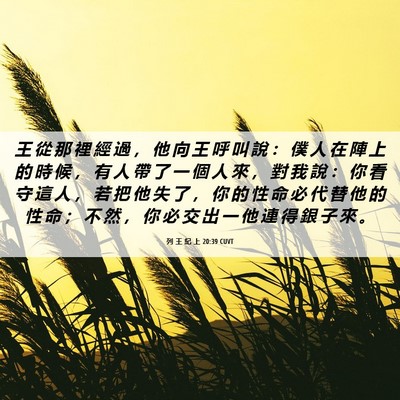 Picture 06 - 列 王 紀 上 20:39 CUVT - 王 從 那 裡 經 過 ， 他 向 王 呼 叫 - Bible Verse Picture