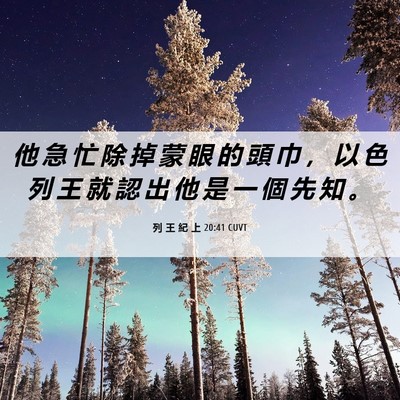 Picture 06 - 列 王 紀 上 20:41 CUVT - 他 急 忙 除 掉 蒙 眼 的 頭 巾 ， 以 - Bible Verse Picture