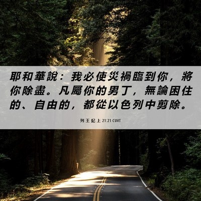 Picture 06 - 列 王 紀 上 21:21 CUVT - 耶 和 華 說 ： 我 必 使 災 禍 臨 到 - Bible Verse Picture