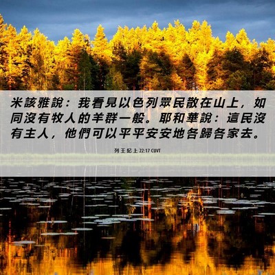Picture 06 - 列 王 紀 上 22:17 CUVT - 米 該 雅 說 ： 我 看 見 以 色 列 眾 - Bible Verse Picture