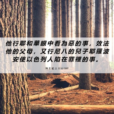 Picture 06 - 列 王 紀 上 22:52 CUVT - 他 行 耶 和 華 眼 中 看 為 惡 的 事 - Bible Verse Picture