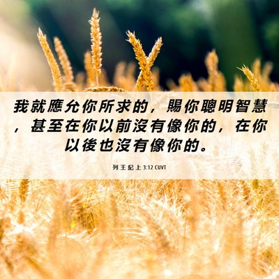 Picture 06 - 列 王 紀 上 3:12 CUVT - 我 就 應 允 你 所 求 的 ， 賜 你 聰 - Bible Verse Picture