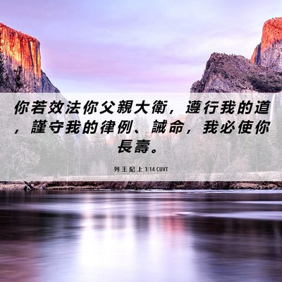 Picture 06 - 列 王 紀 上 3:14 CUVT - 你 若 效 法 你 父 親 大 衛 ， 遵 行 - Bible Verse Picture