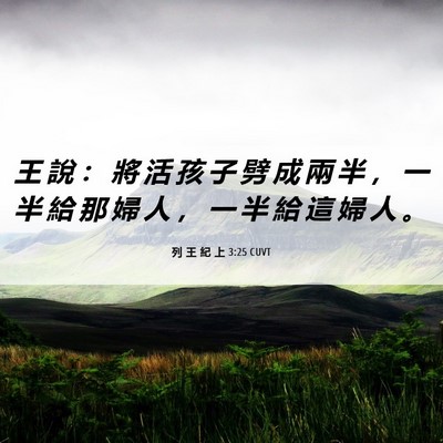 Picture 06 - 列 王 紀 上 3:25 CUVT - 王 說 ： 將 活 孩 子 劈 成 兩 半 ， - Bible Verse Picture
