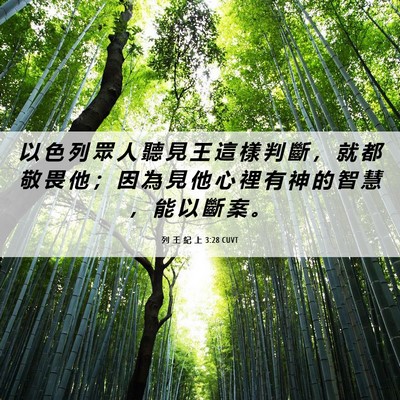 Picture 06 - 列 王 紀 上 3:28 CUVT - 以 色 列 眾 人 聽 見 王 這 樣 判 斷 - Bible Verse Picture