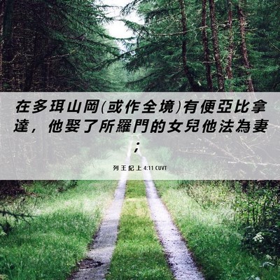Picture 06 - 列 王 紀 上 4:11 CUVT - 在 多 珥 山 岡 ( 或 作 全 境 ) 有 便 - Bible Verse Picture