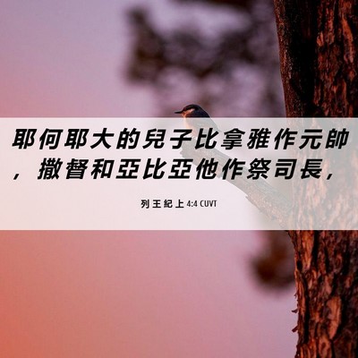 Picture 06 - 列 王 紀 上 4:4 CUVT - 耶 何 耶 大 的 兒 子 比 拿 雅 作 元 - Bible Verse Picture
