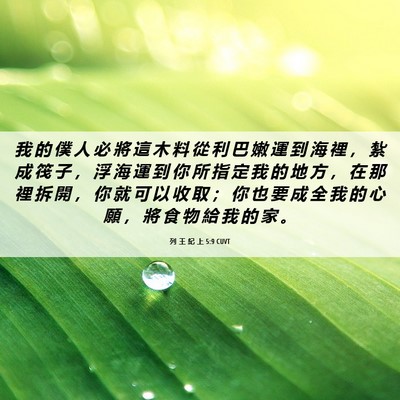 Picture 06 - 列 王 紀 上 5:9 CUVT - 我 的 僕 人 必 將 這 木 料 從 利 巴 - Bible Verse Picture
