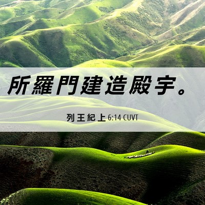Picture 06 - 列 王 紀 上 6:14 CUVT - 所 羅 門 建 造 殿 宇 - Bible Verse Picture