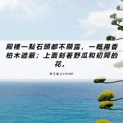 Picture 06 - 列 王 紀 上 6:18 CUVT - 殿 裡 一 點 石 頭 都 不 顯 露 ， 一 - Bible Verse Picture