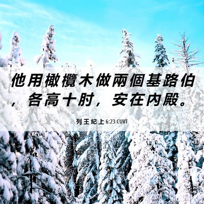 Picture 06 - 列 王 紀 上 6:23 CUVT - 他 用 橄 欖 木 做 兩 個 基 路 伯 ， - Bible Verse Picture
