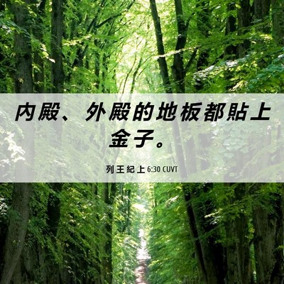 Picture 06 - 列 王 紀 上 6:30 CUVT - 內 殿 、 外 殿 的 地 板 都 貼 上 金 - Bible Verse Picture