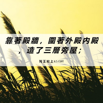 Picture 06 - 列 王 紀 上 6:5 CUVT - 靠 著 殿 牆 ， 圍 著 外 殿 內 殿 ， - Bible Verse Picture